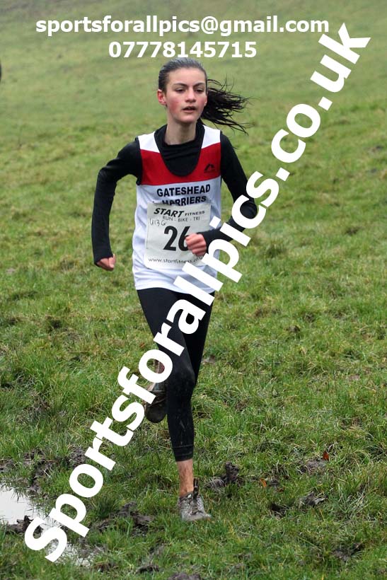 Girls under-13s, NECAA Junior Cross Country Relays, Thornley Farm, Peterlee, Saturday, December 12th. Photo: David T. Hewitson/Sports for All Pics